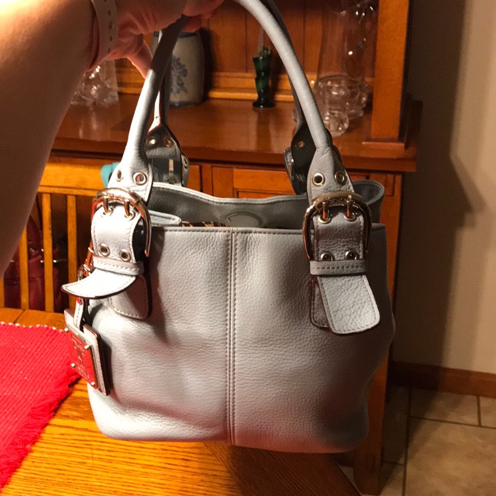 Tignanello pale blue leather purse